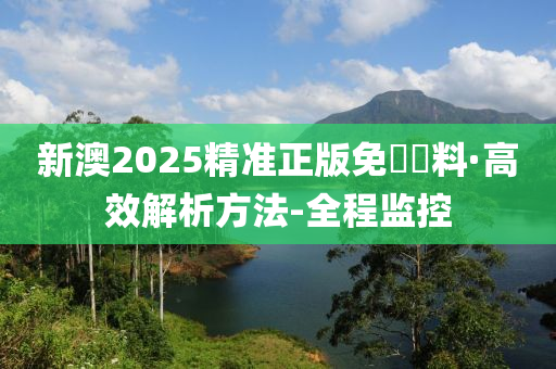 2025新澳精准正版免費資料,全面释义、解释与落实与警惕虚假宣传-全面释义、解释与落实